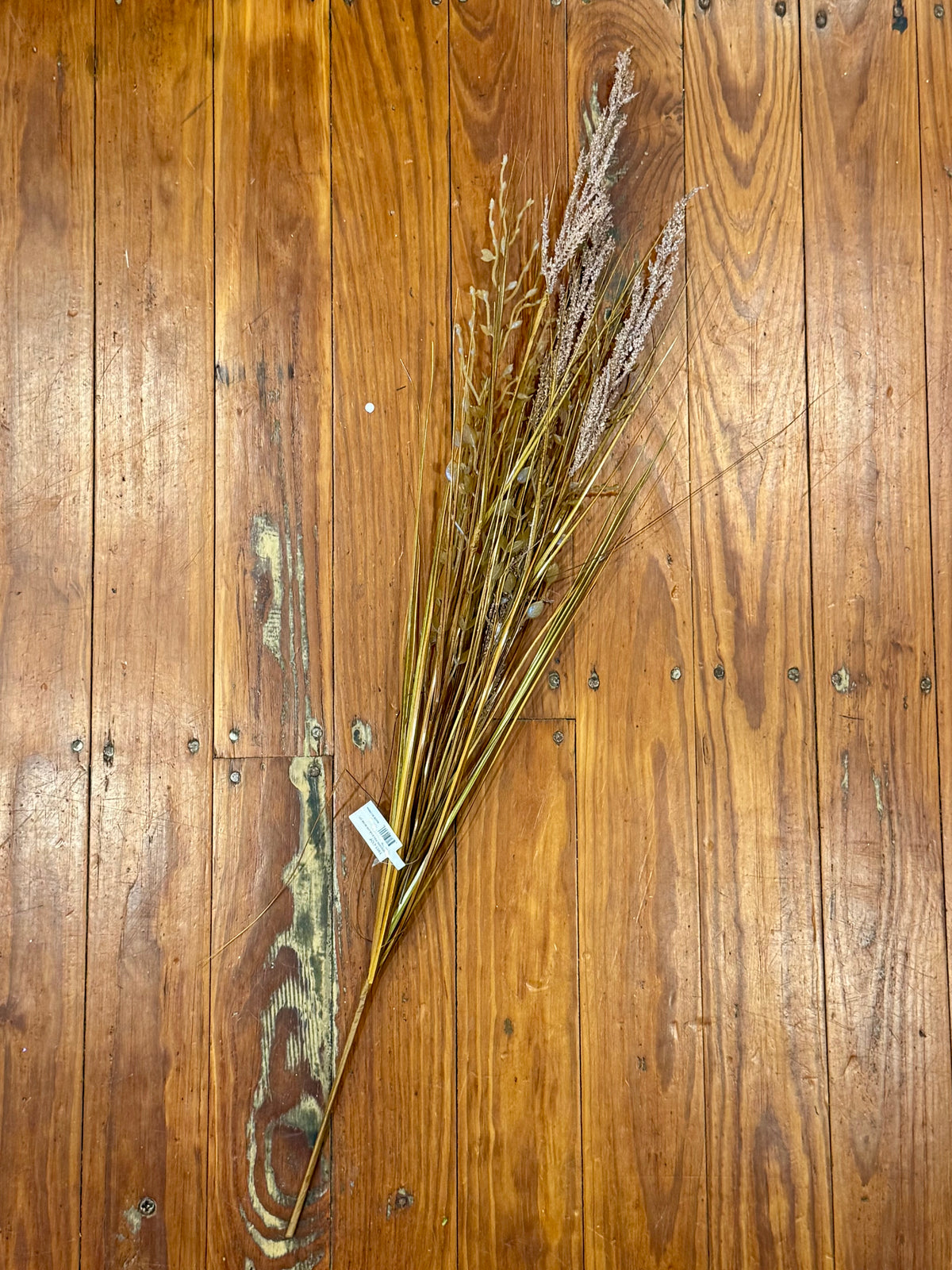 Seeding Field Grass Bush- Coffee