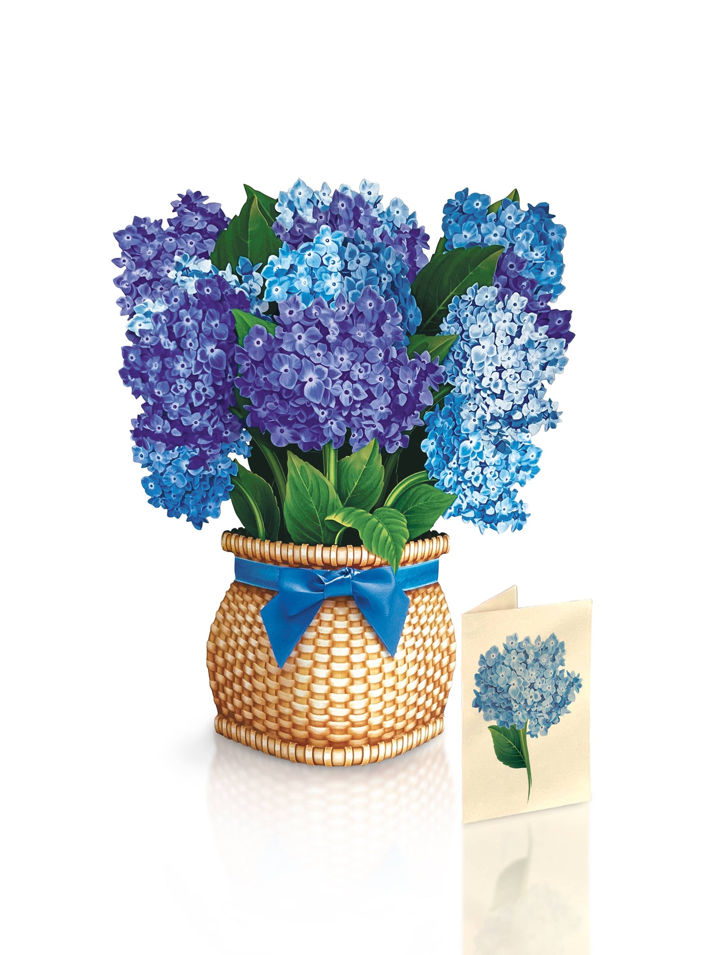 Nantucket Hydrangeas (8 Pop-up Greeting Cards)
