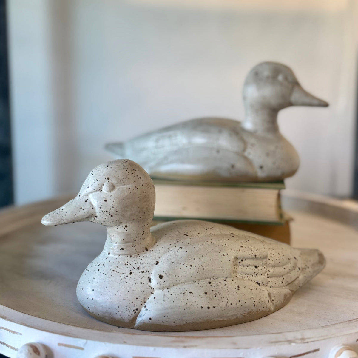 Pottery Ducks