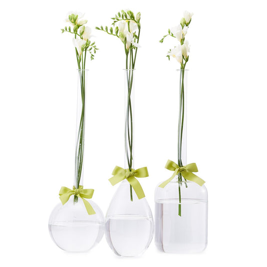 Sleek & Chic Vases- Large