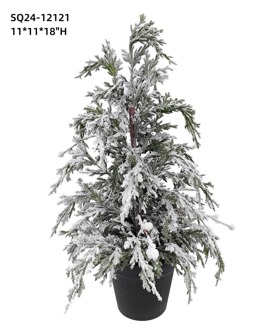SNOWY PINE TREE IN POT