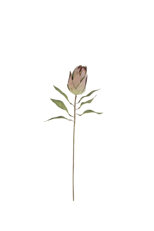 Botanica 9032