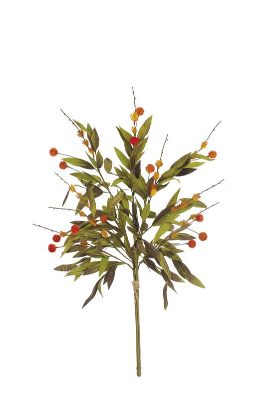 Botanica 2818