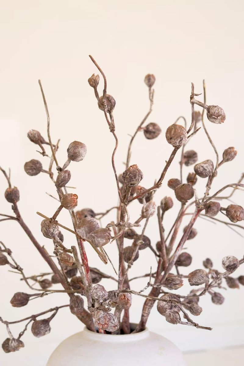 Botanica 2863