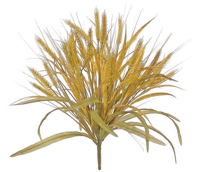 Wheat Bush- Gold