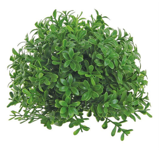 Boxwood Pot Dome, 6"