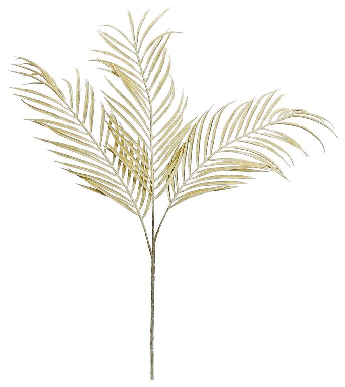 Tan Palm Frond, 27"