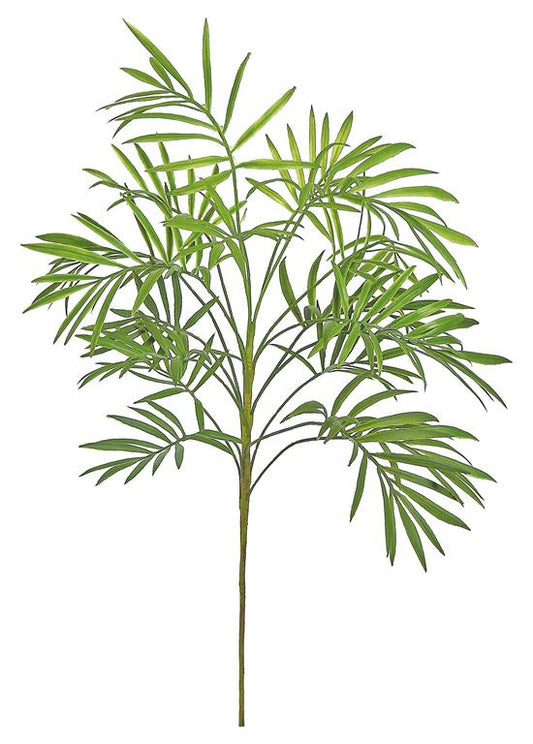 Palm Plant, 30"