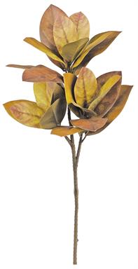 Magnolia Leaf Spray- Olive/Brown