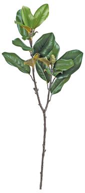 Southern Magnolia Leaf Spray