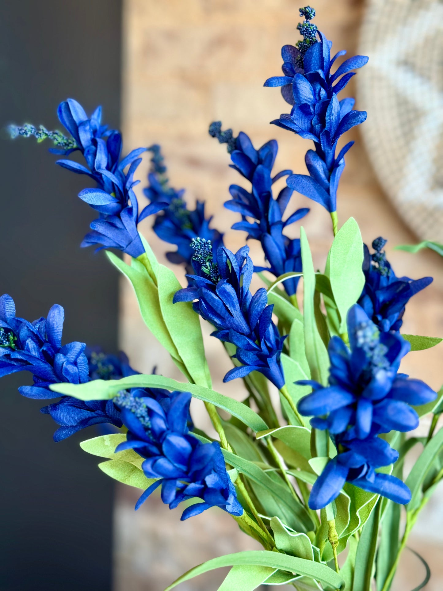 Budding Firecracker Salvia Bush 20”