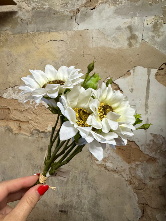 Sunflower Bundle- Cream