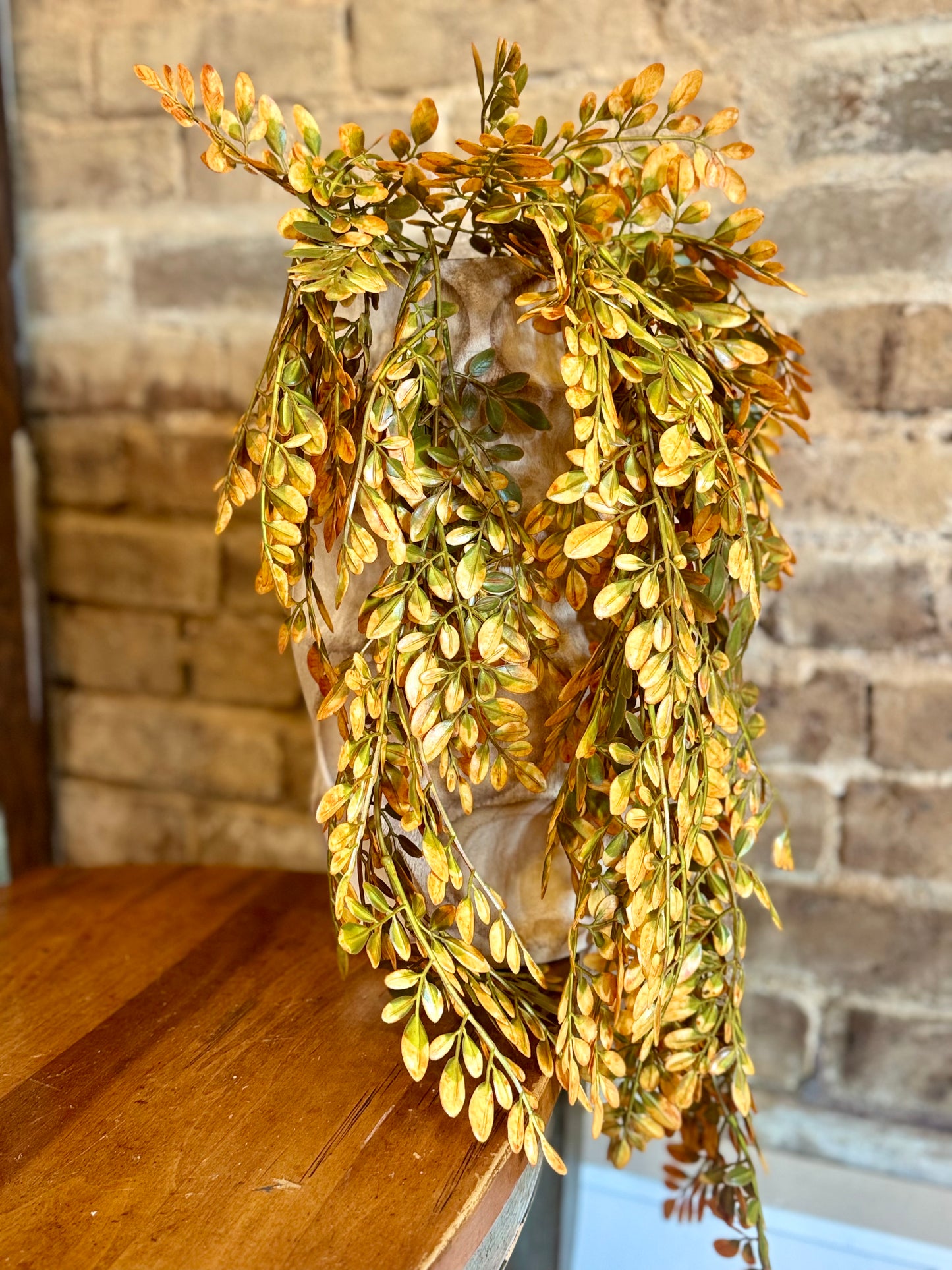 Hanging Hemlock