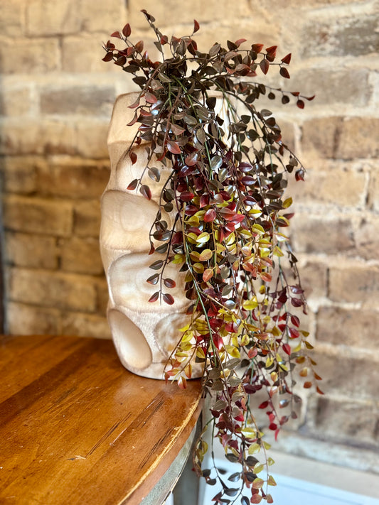 Hanging Burgundy Bush
