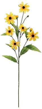 Black Eyed Susan Spray