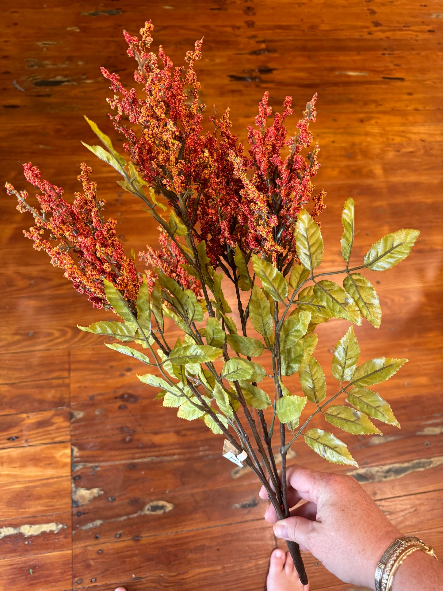 Astilbe Bush Rust