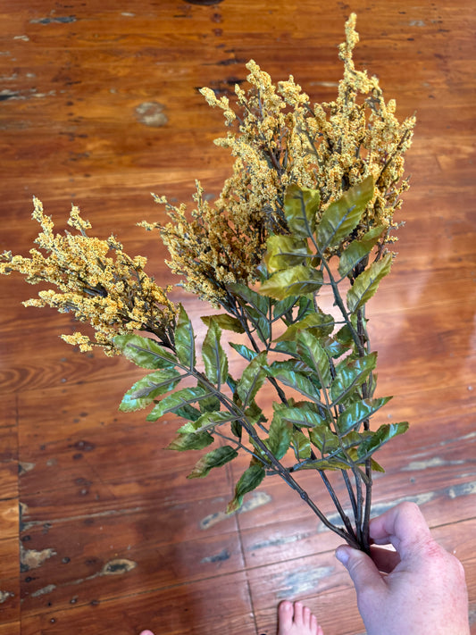 Astilbe Bush Gold