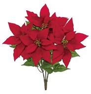 Star Poinsettia Bush 20"