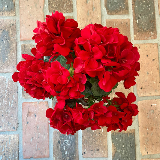 Geranium Bush, Red 18”
