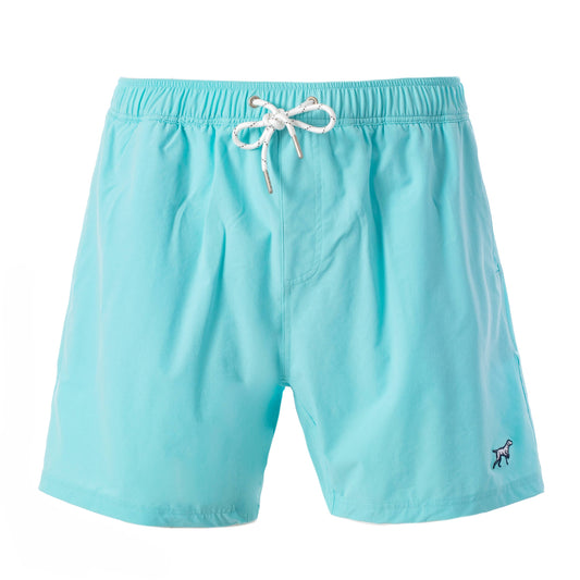 Hydro Shorts, Toddler- Teal